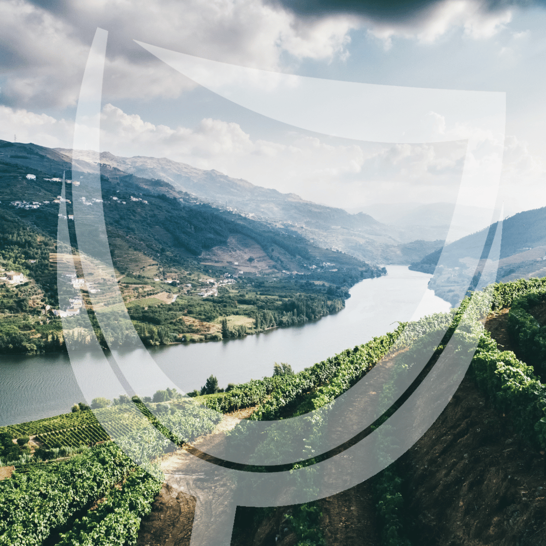 Mousserende wijn uit de Douro – Portugese bubbels met kracht, mineraliteit en verfijnde frisheid