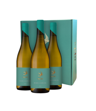 Boas Quintas Opta Reserva Especial Branco Geschenkbox