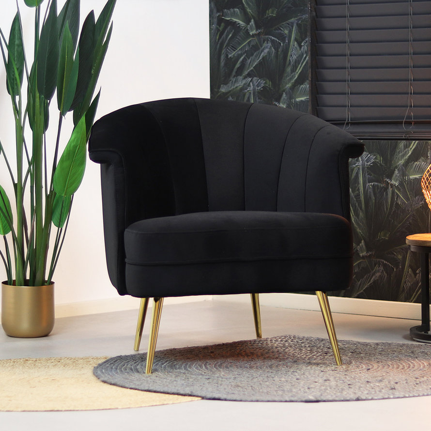 Samt Sessel Amy modern schwarz