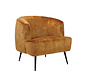 Samt Sessel Billy modern ockergelb/cognac