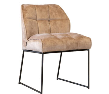 Bronx71 Esszimmerstuhl Samt Janna taupe