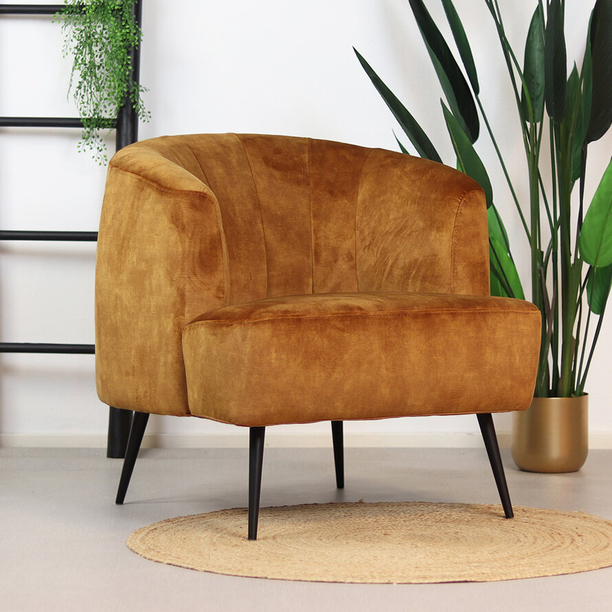 Samt Sessel Billy modern ockergelb/cognac