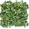 Kunsthaag mat Schefflera 50x50 cm Kunsthaag mat Schefflera 50x50 cm