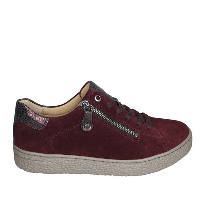 Phil Shoe Bordo