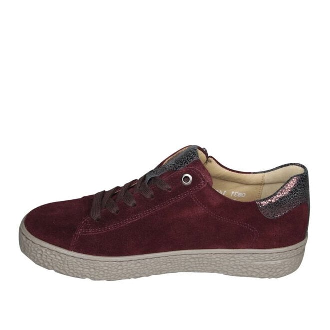 Phil Shoe Bordo