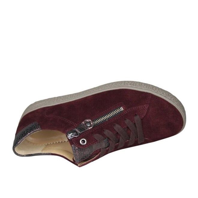 Phil Shoe Bordo