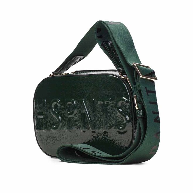 Bolsos BI232934 Groen