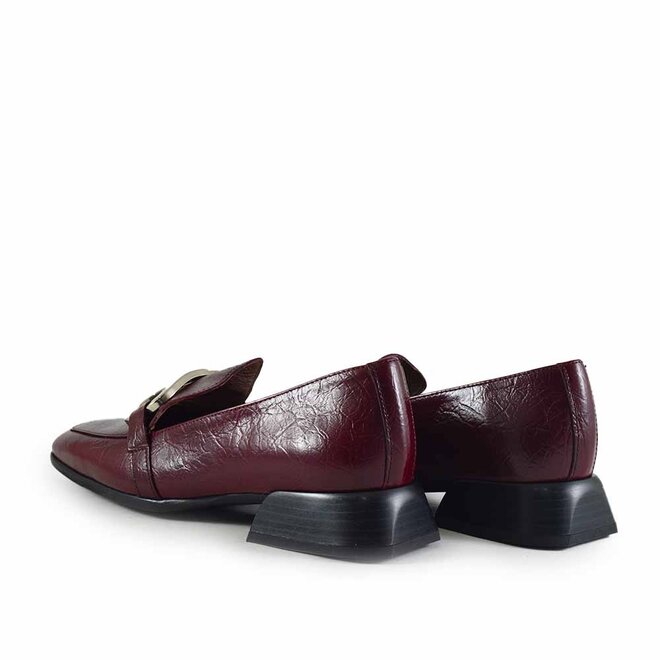 Terra Bordo