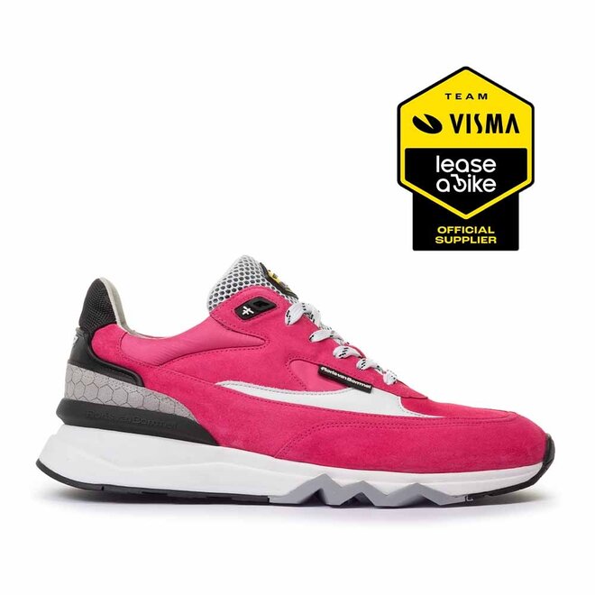 Team Visma De Zager 09.04 Roze