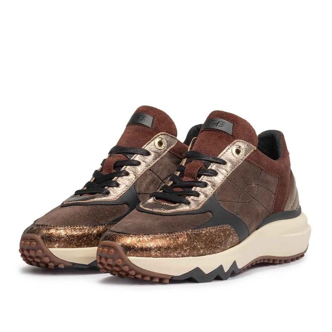 Curvi 04.01 Brons