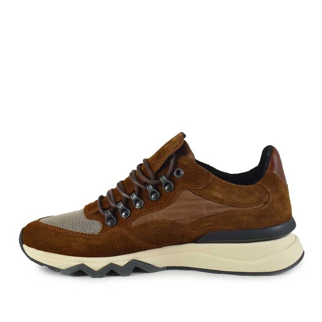 De Zager 01.22 Cognac