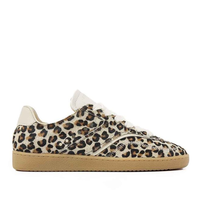 Ray Owen Studs (L) Leopard