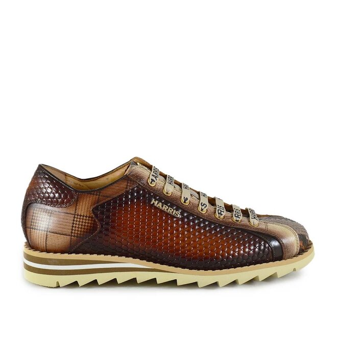 Palle Pitone Bruin