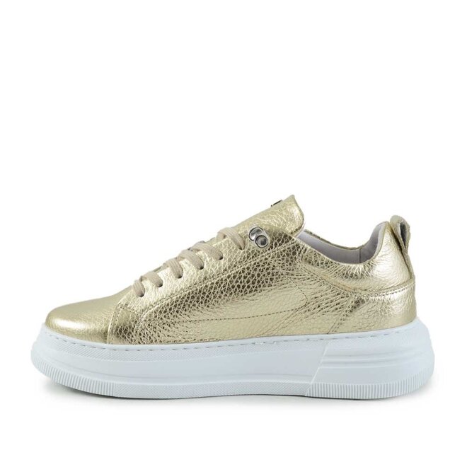 74620 Goud