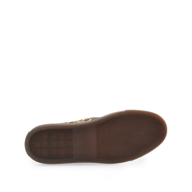 CPH160 Leo Bruin