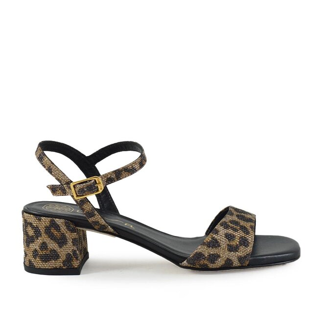 Kirk Sparkle Leo Bruin/Zwart