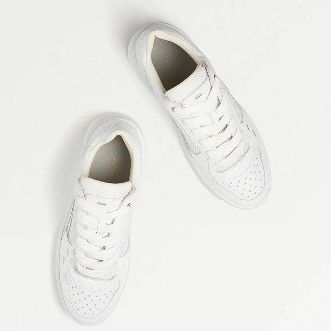 Cruiser Crumbs Wit