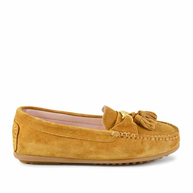 Camelia Cognac