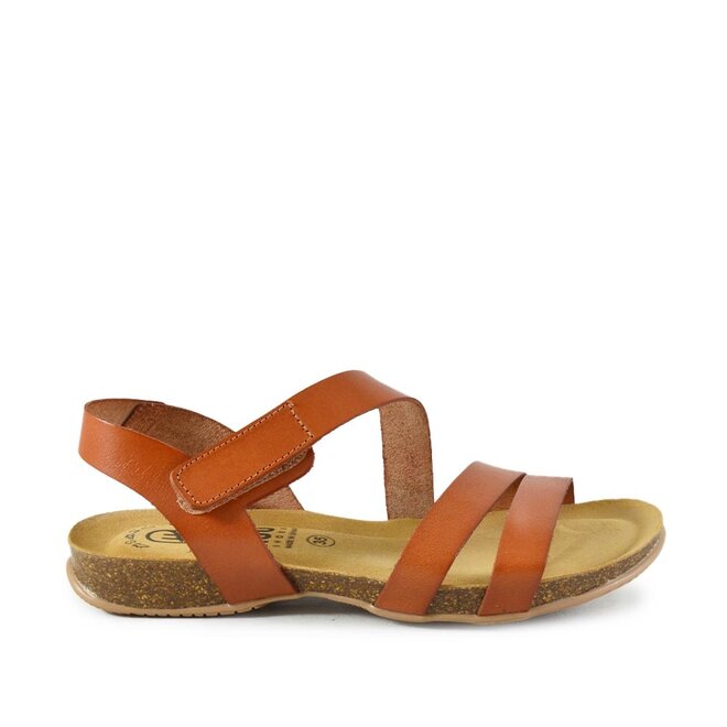 25022 Cognac