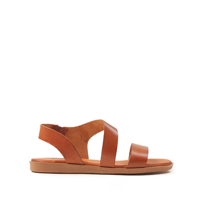 25362 Cognac