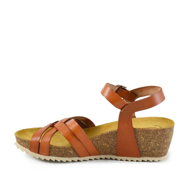 25001 Cognac