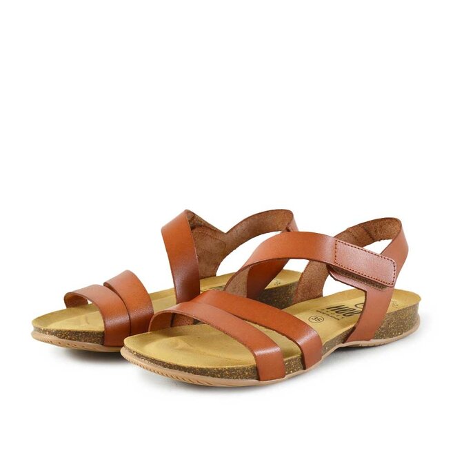 25022 Cognac