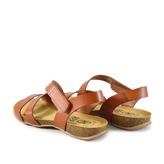25022 Cognac
