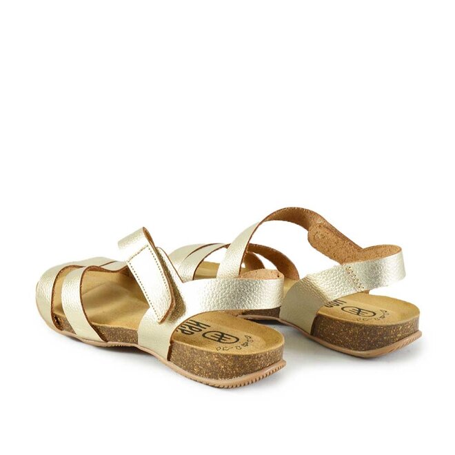 25022 Goud