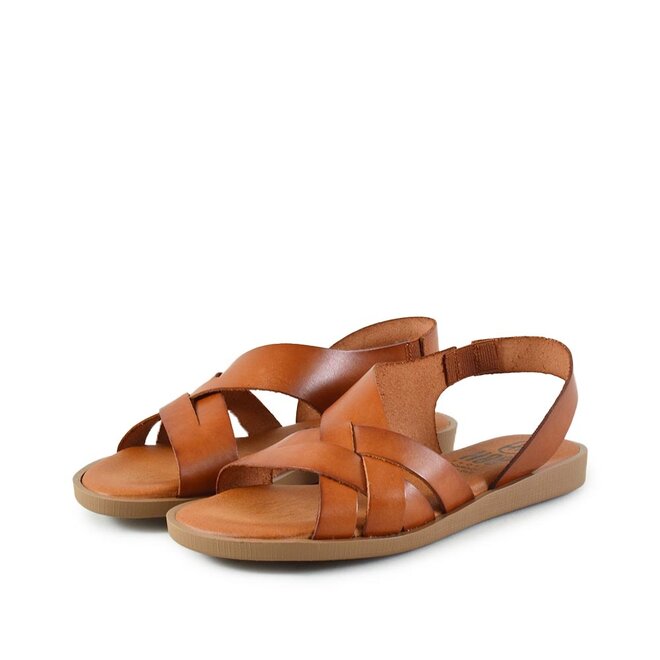 25361 Cognac