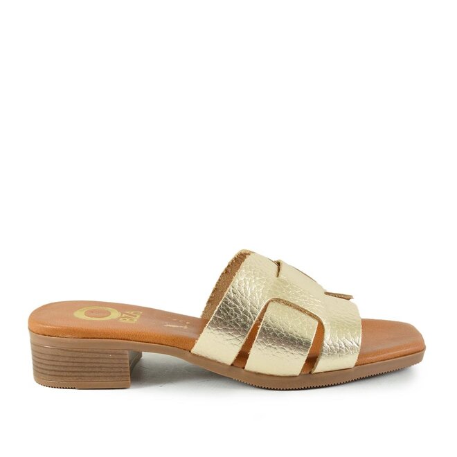 Palm Goud