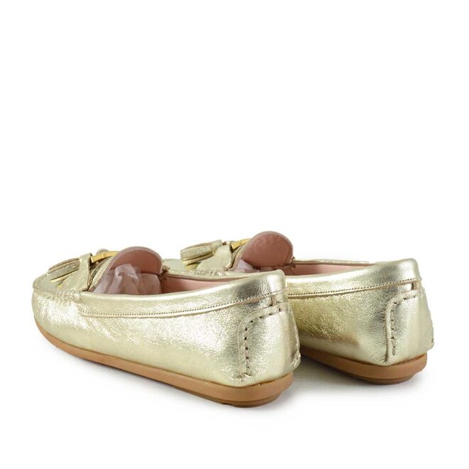 Camelia Goud