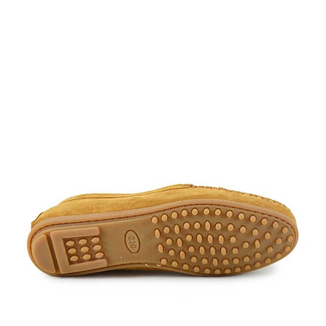 Camelia Cognac