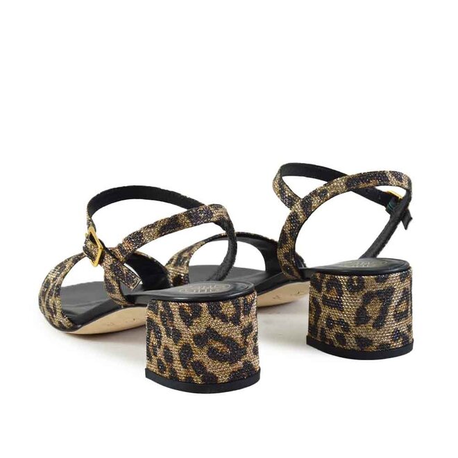 Kirk Sparkle Leo Bruin/Zwart