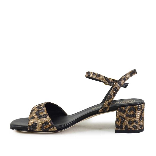 Kirk Sparkle Leo Bruin/Zwart