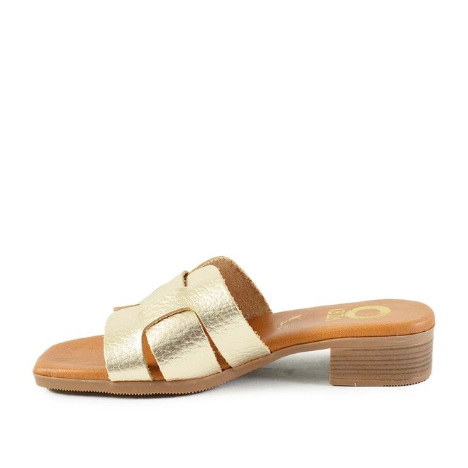 Palm Goud