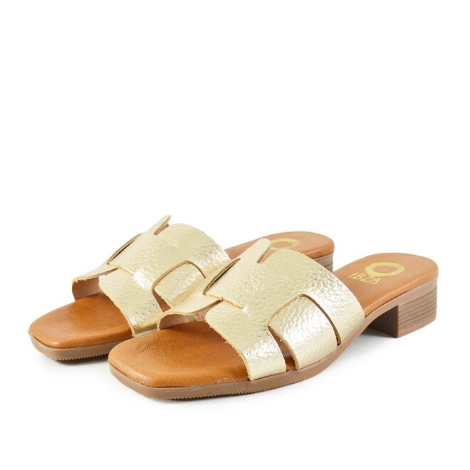 Palm Goud