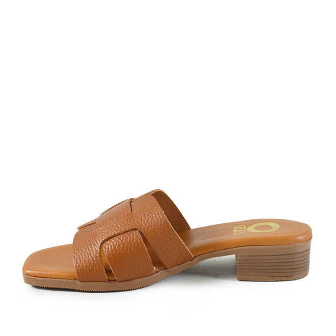 Palm Cognac