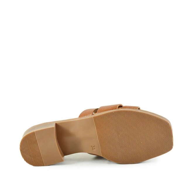 Palm Cognac