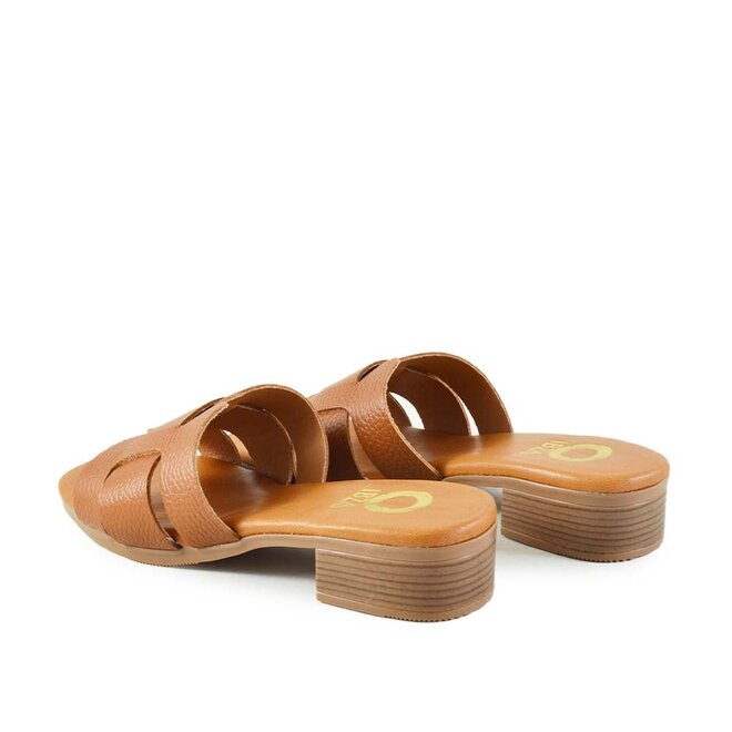 Palm Cognac
