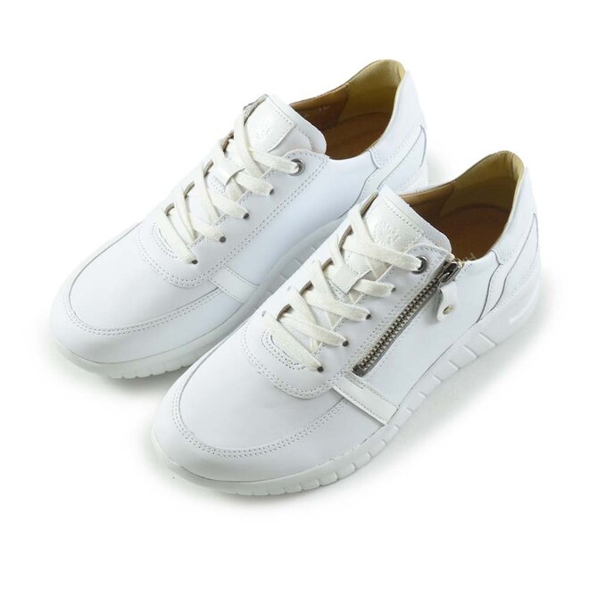 Wave Shoe Wit