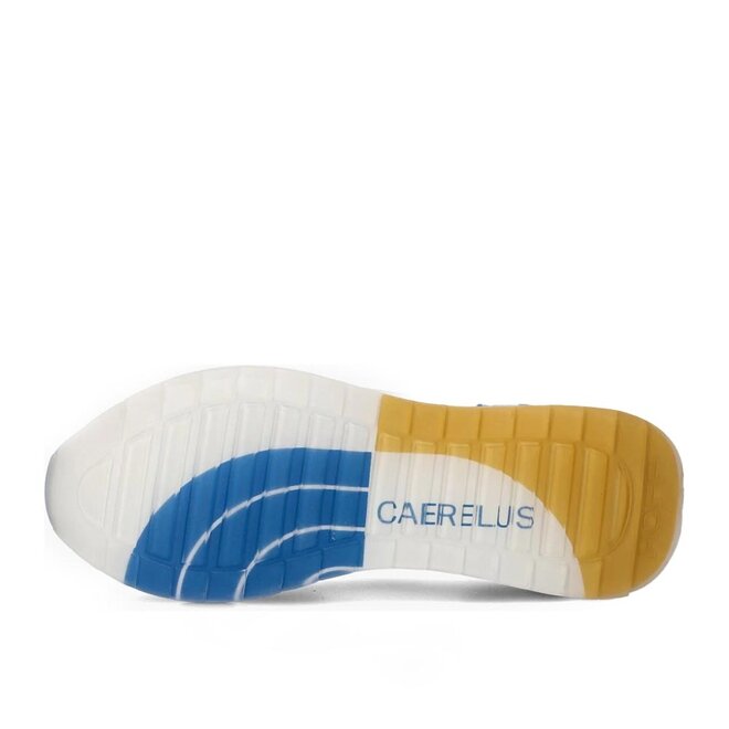 Caeruleus Man Blauw