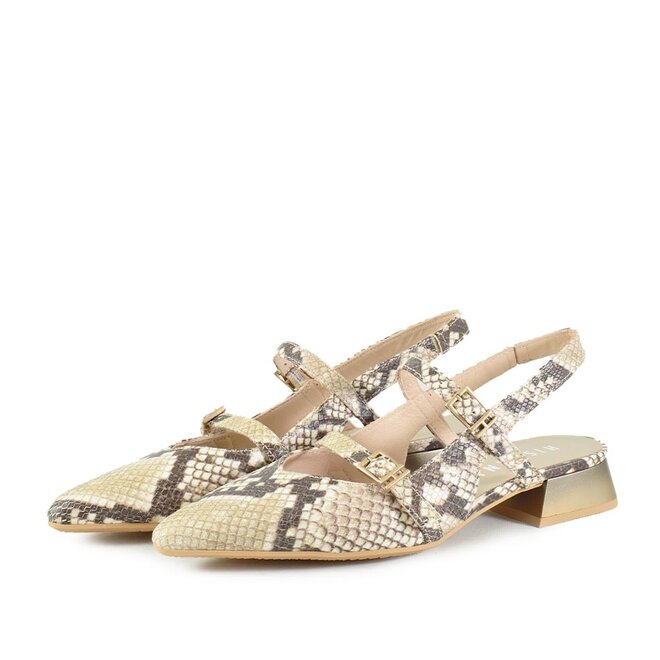 Dani Dali Snake Beige