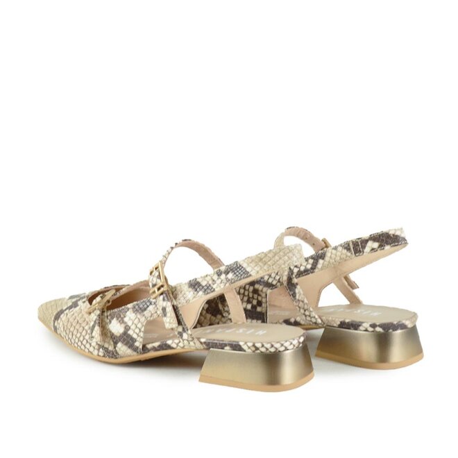 Dani Dali Snake Beige