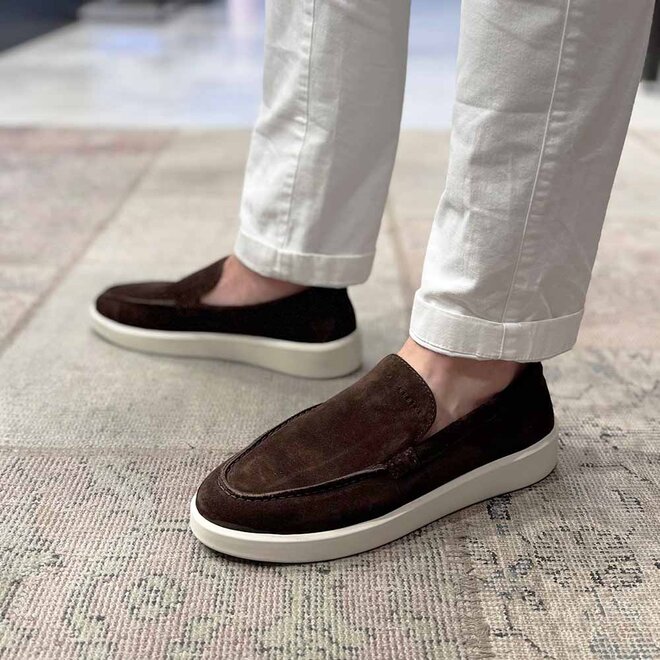 Joro Mio (M) Bruin