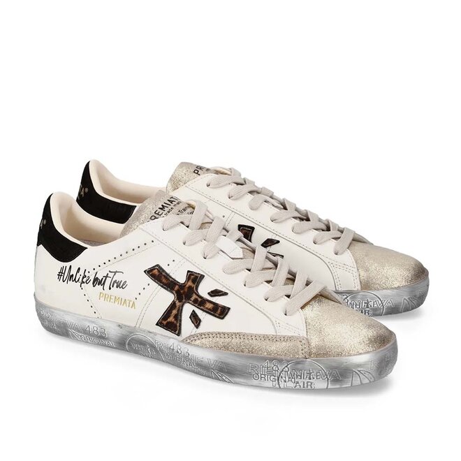 StevenD 7605 Wit Goud