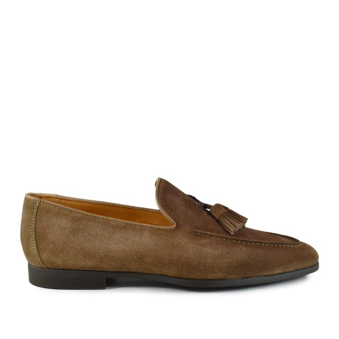 Docio II Shore Bruin