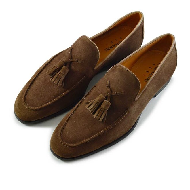 Docio II Shore Bruin