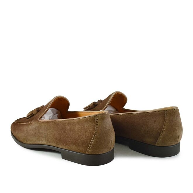 Docio II Shore Bruin