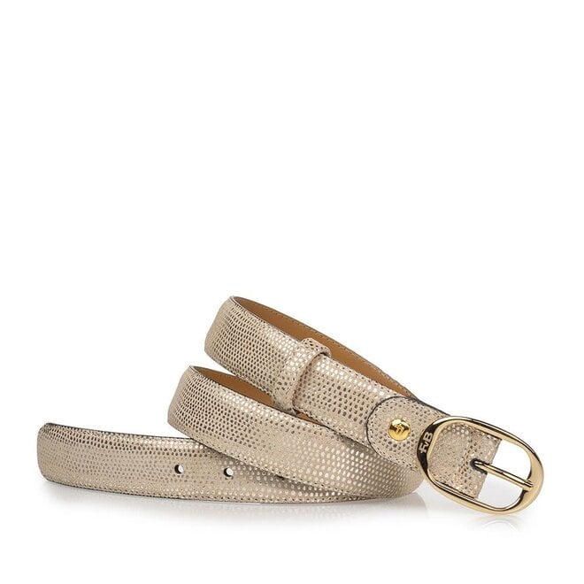 De Belter 41.41 Goud