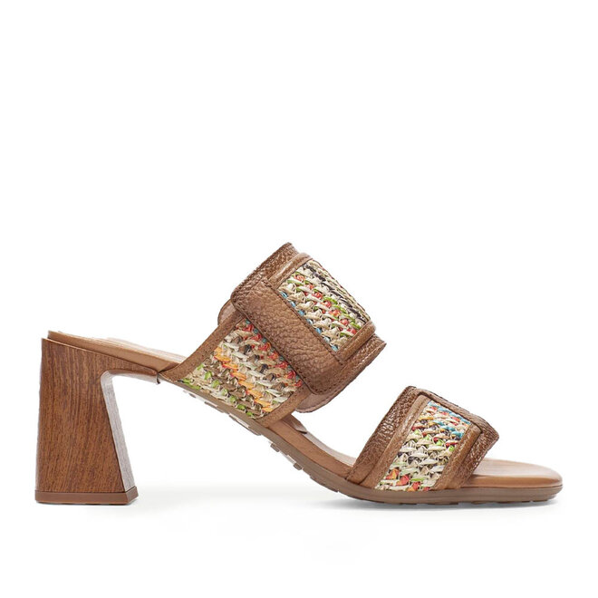 RHV264747 Multi Bruin